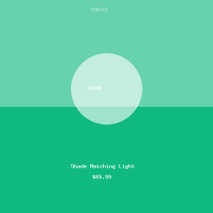 Dental Shade Matching Light